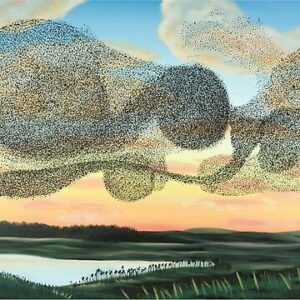 When Life Changes Shape