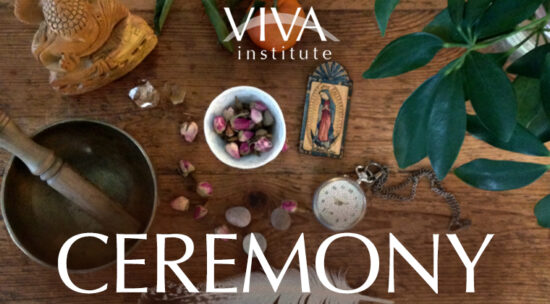 Viva Institute Ceremony course