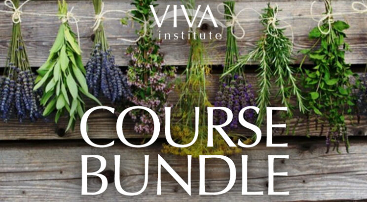 Self-Study: Course Bundle