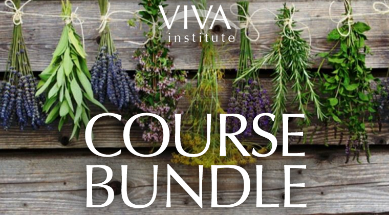 Self-Study: Course Bundle