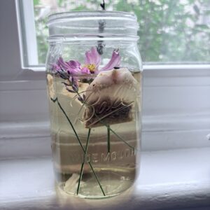 Full Moon Tea Recipe and Ritual